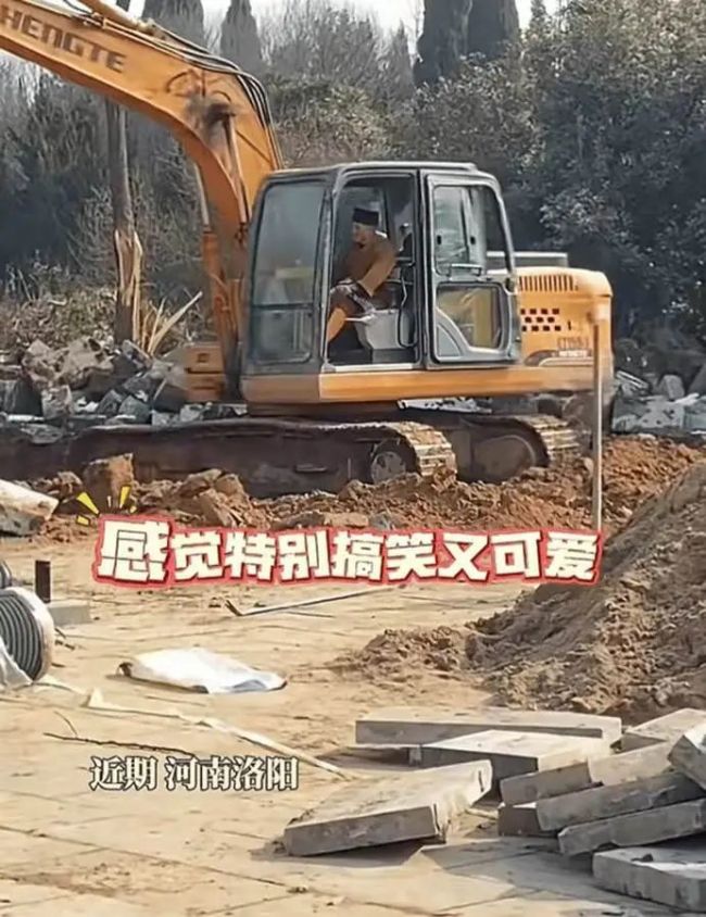 开挖机、不爱商业，少林寺来了位不一样的住持 农禅并重新气象