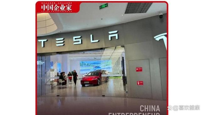 马斯克卷入机器人出租车杀死猫的争论