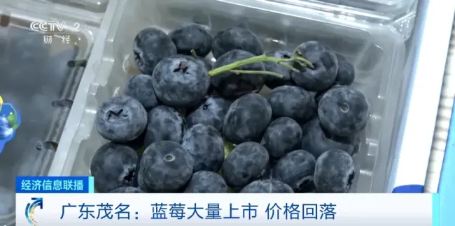 每天吃一盒蓝莓会发生什么