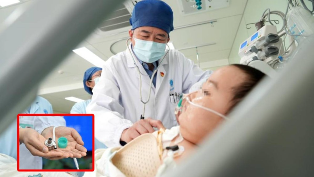 目前患儿心脏功能稳步恢复,生命体征平稳。 目前患儿心脏功能稳步恢复,生命体征平稳。