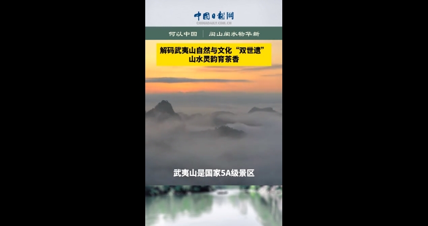 何以中国丨解码武夷山自然与文化“双世遗”:山水灵韵育茶香 何以中国丨解码武夷山自然与文化“双世遗”:山水灵韵育茶香