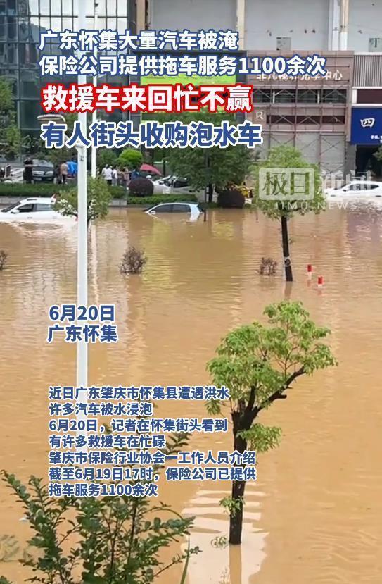 广东怀集洪水致大量汽车被浸泡