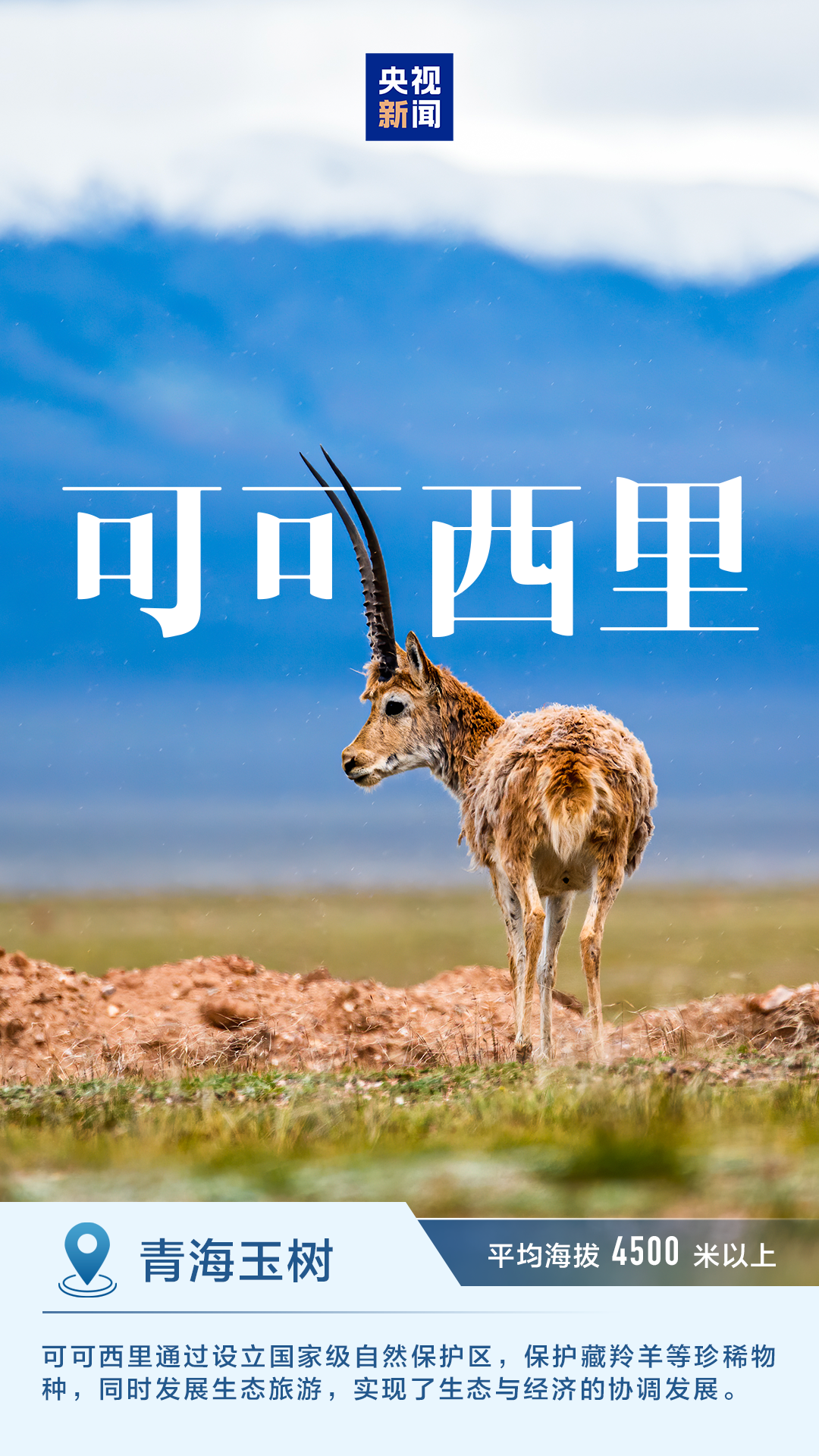 明艳动人 一组海报感受中国的“绿水青山”