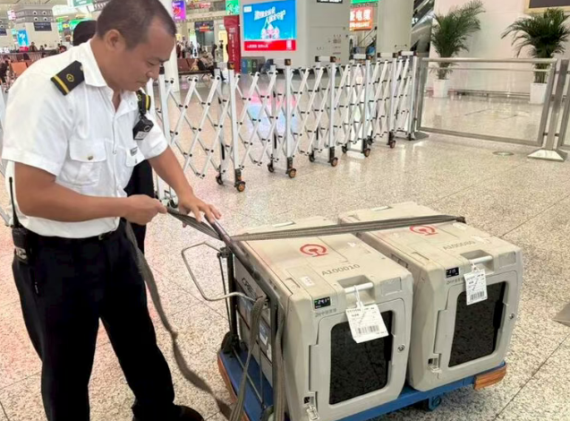 图源：“广铁集团深圳火车站”微信公众号