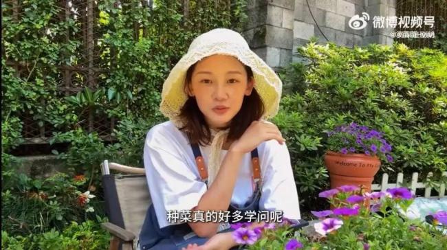 郑恺苗苗三胎女儿首曝光