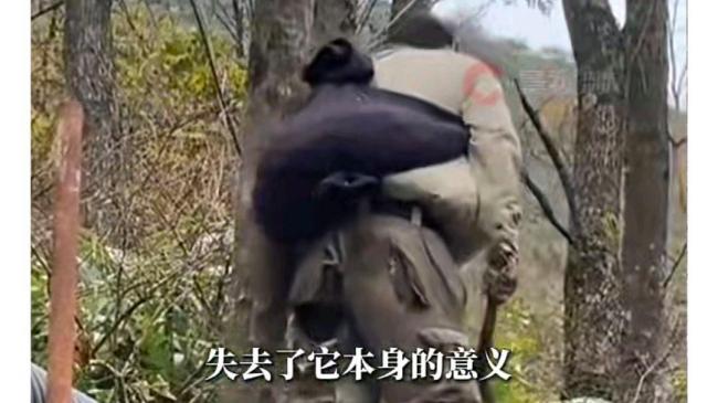 荒野林北回应网名被调侃