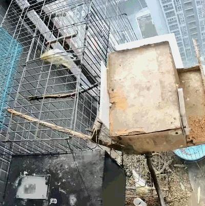 官方回应成都多地上午突发巨响