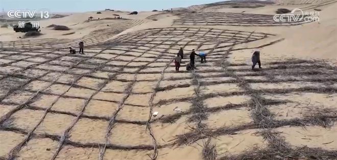 数说绿色发展成绩单 “十四五”时期我国草原生态得到整体改善