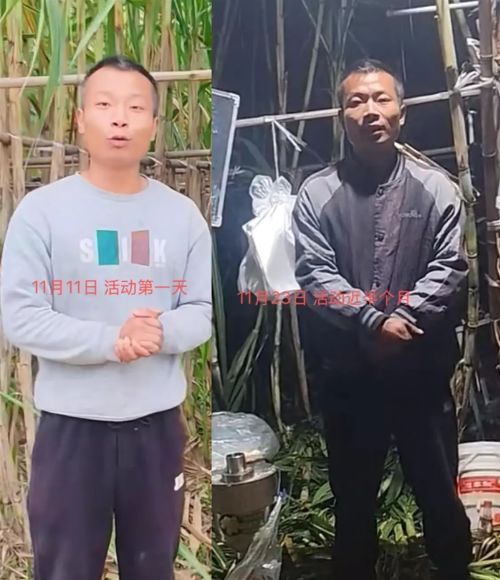 体验付费偷甘蔗第一视角有多刺激