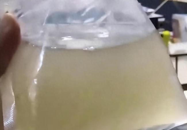 网友网购50条观赏鱼到货只有一袋水