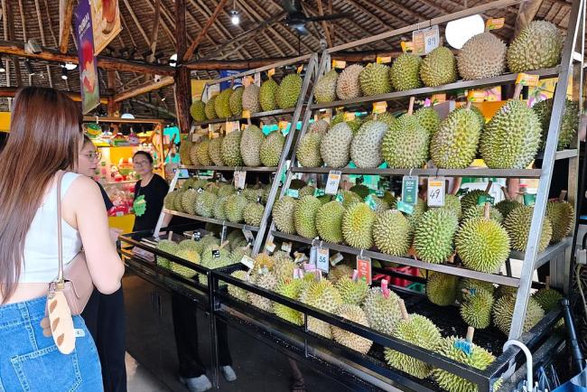 马来西亚呼吁授予榴莲国果地位