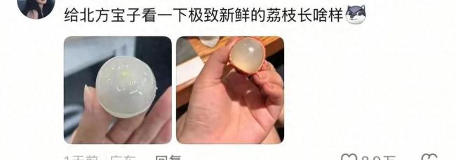 广西人证明荔枝确实是透明的