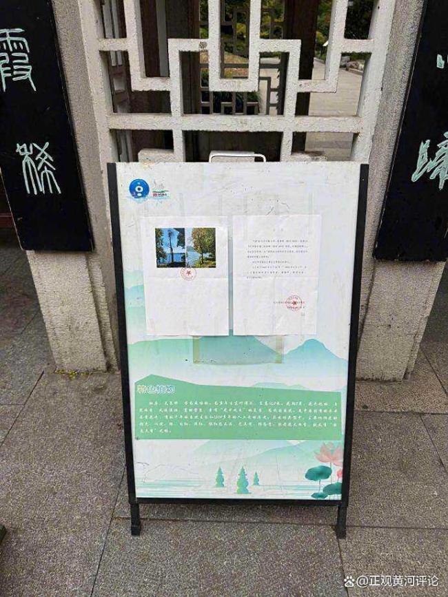 西湖为枯柳发公告是“小题大做”吗