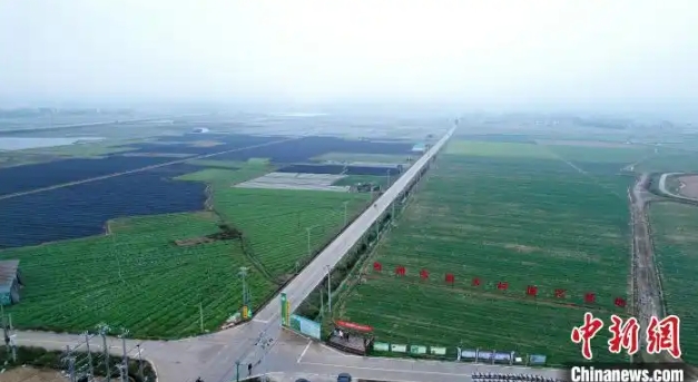 示范区