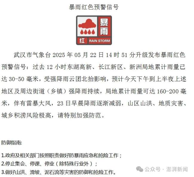 武大校门被淹一米深