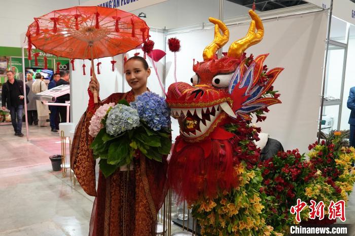 云南鲜花走俏阿斯塔纳：跨越五千多公里的“双向奔赴”