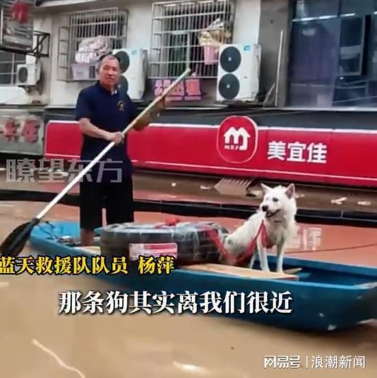 贵州洪水中现“忠犬八公”