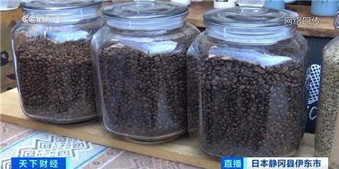 日本年进口云南咖啡生豆超900吨 品质获认可销量增