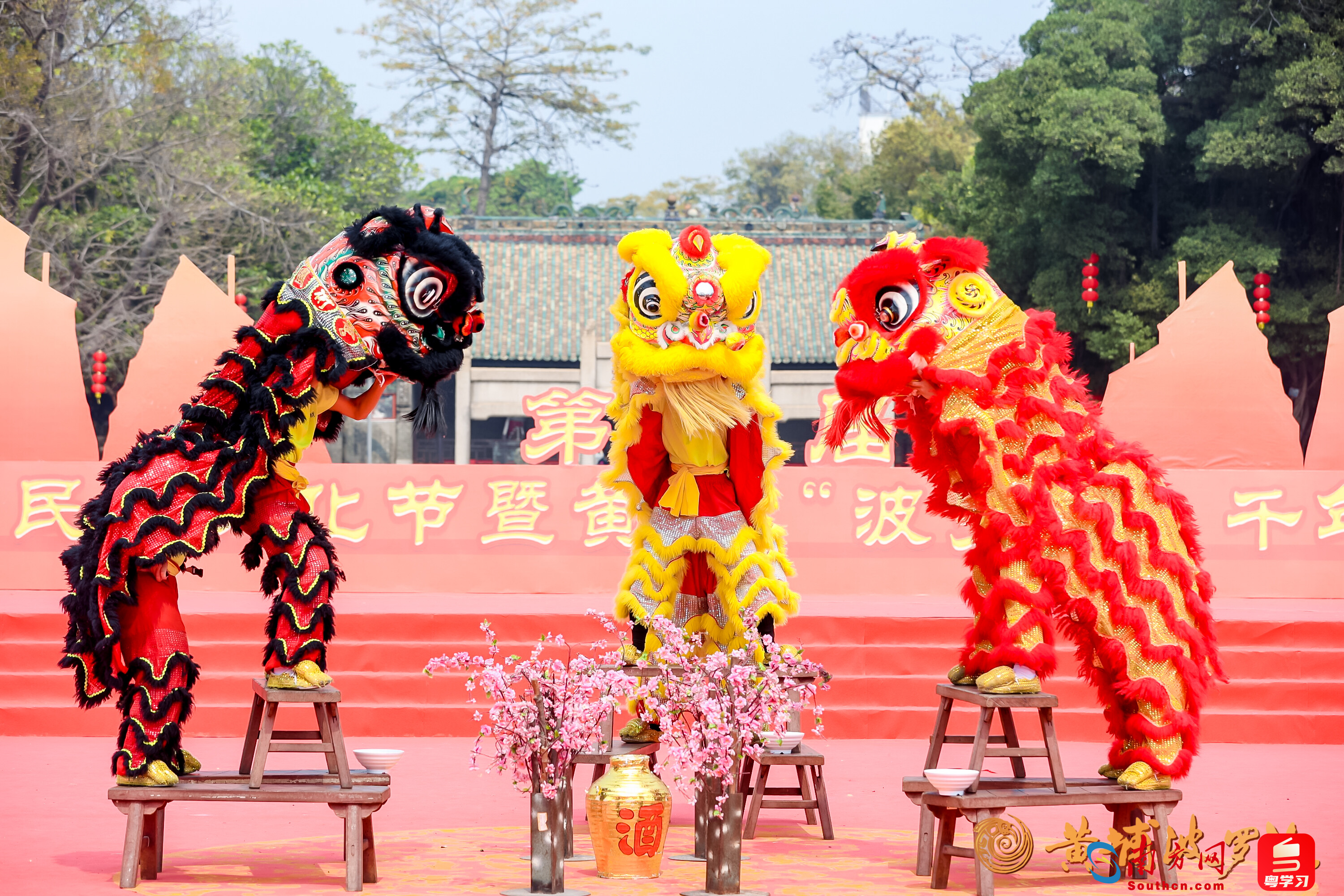 往届“波罗诞”千年庙会舞狮表演。
