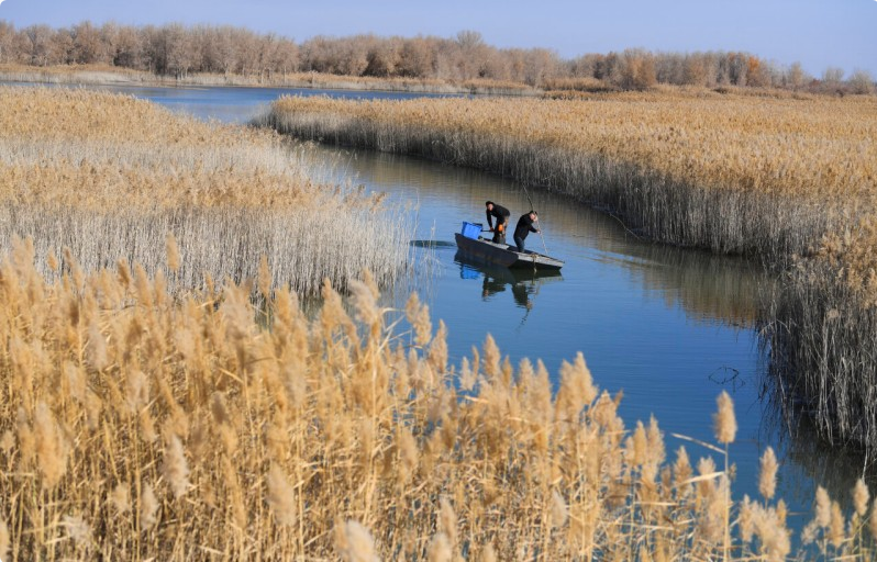 锁边合龙一周年丨从“死亡之海”到“财富绿洲” 看塔克拉玛干如何点沙成金