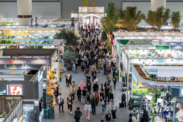 中山 南方+分割线 南方+ 朱晓宇 制图