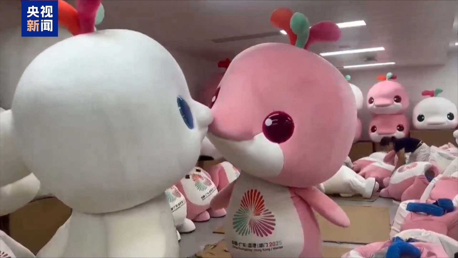 16斤玩偶服藏不住可爱 全运会吉祥物斗舞名场面