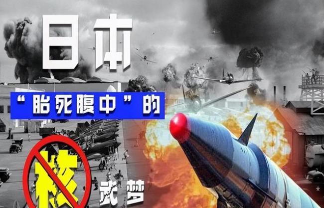 专家：日本想借机重新武装自己