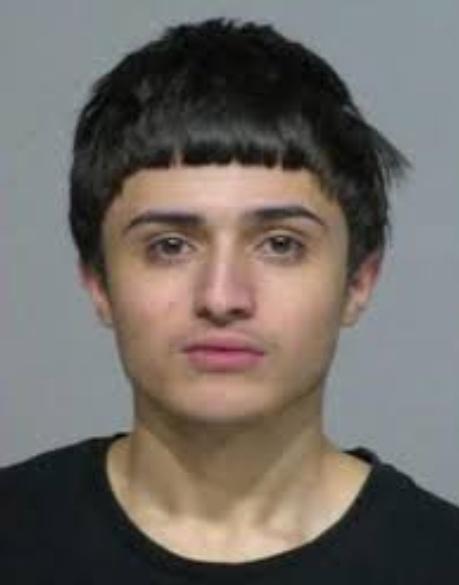 美国少年玩枪子弹射穿楼板打死表妹