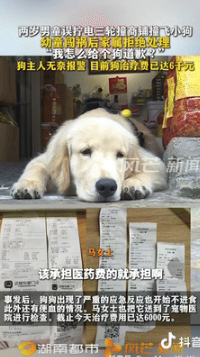小孩误启动三轮车撞小狗 家长拒赔！缺大德了！