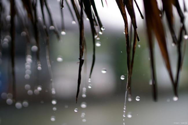 2025年梅雨季来了,长达38天!