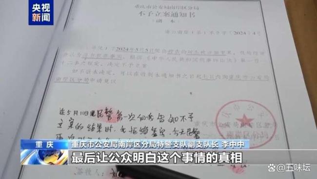 央视还原胖猫事件真相 舆论风暴背后的真相与反思