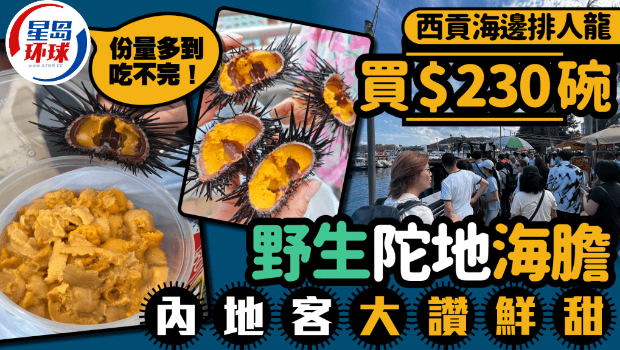 海胆 海胆
