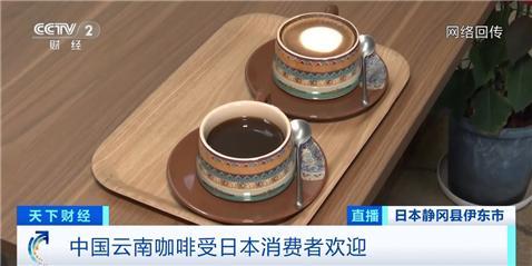 日本年进口云南咖啡生豆超900吨