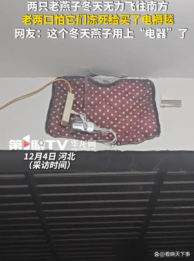 户主为不南飞燕子装上电热毯