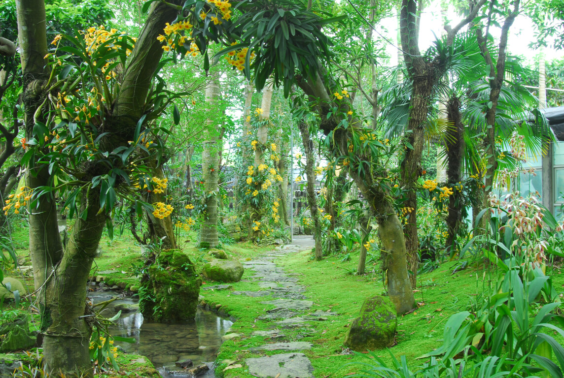深圳市兰科中心植物园(通讯员供图)
