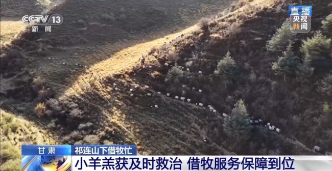 借牧双方资源互补催生产业新模式