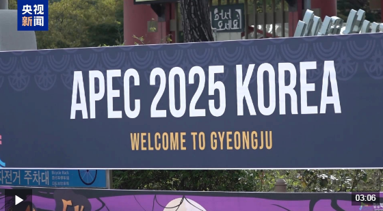 视频丨多国专家:中国持续为亚太地区发展注入新动力 视频丨多国专家:中国持续为亚太地区发展注入新动力