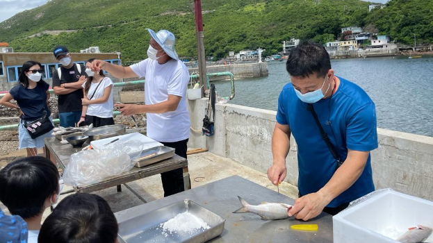 太子旅游经理林炳成(右一)表示，今年复活节本地团整体报团人数较去年少3成左右，但参加本地团的港人比例却有所上升，占团友约一半。资料图片