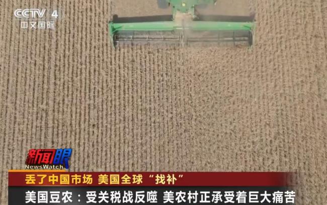 特朗普团队向印度推销大豆