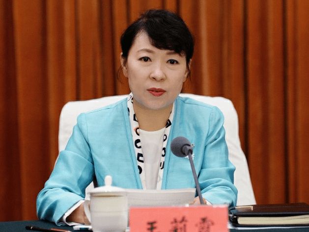 内蒙古自治区党委副书记、自治区政府主席王莉霞被查