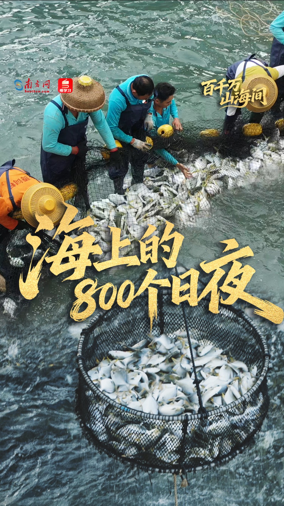 百千万·山海间｜海上的800个日夜