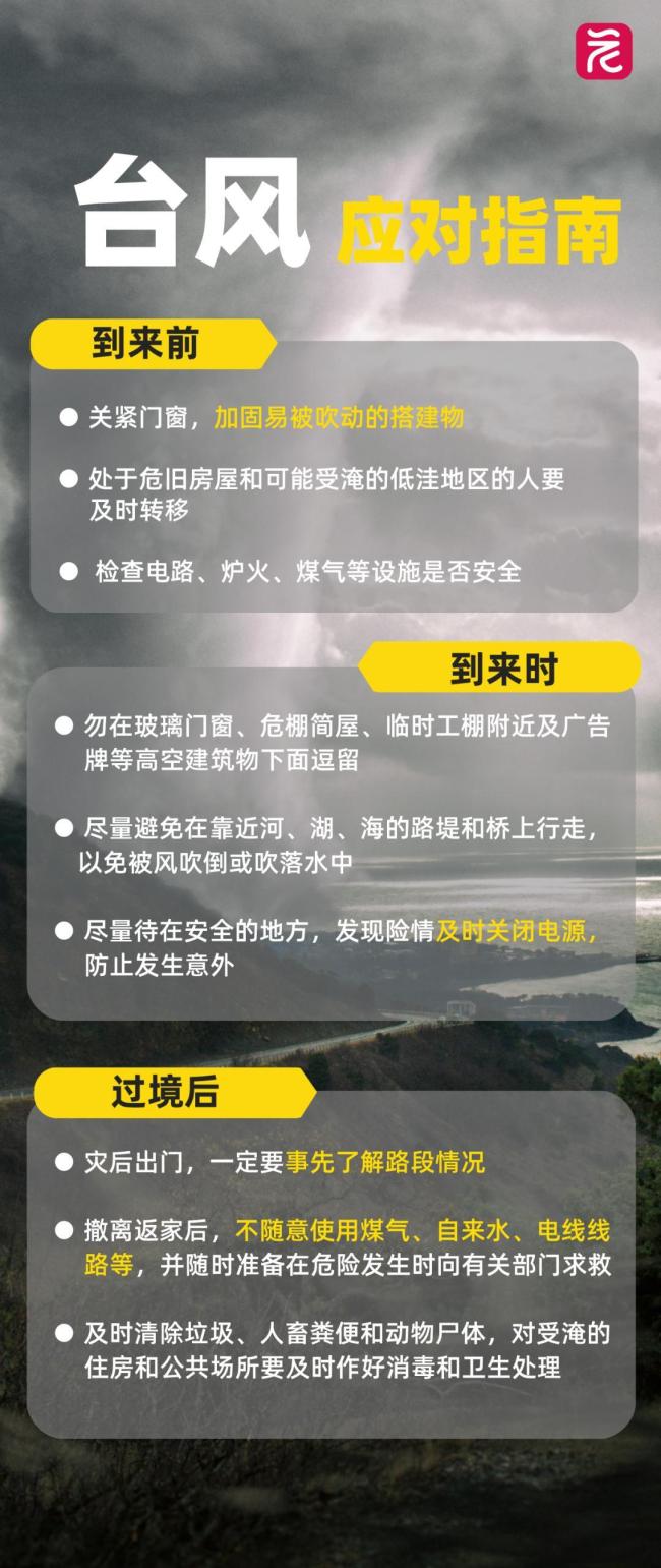 深圳人用爱为“毛孩子”搭建避风港