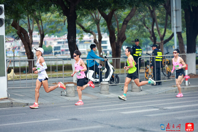 2025肇庆马拉松开跑，选手跑过1公里。摄影：曹雅琴