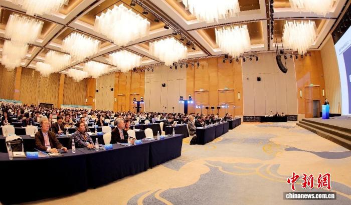 东亚文化遗产保护学会第九届国际学术研讨会在蓉开幕