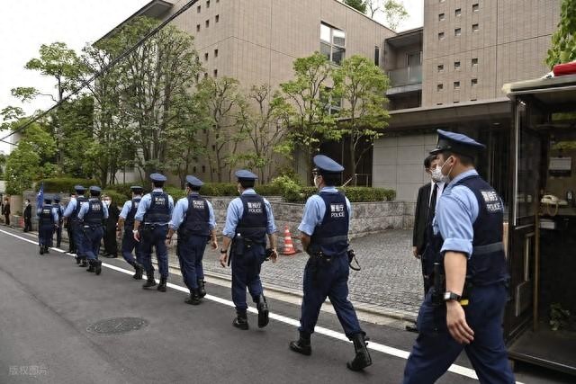 三名日本黑帮成员因遛狗不拴绳被捕 违反规定被拘