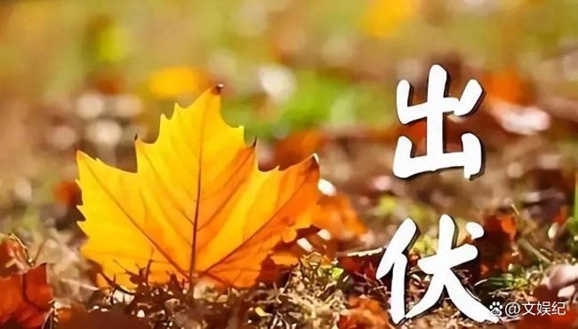 今日伏尾,秋老虎凶猛吗?老祖宗农谚告诉你