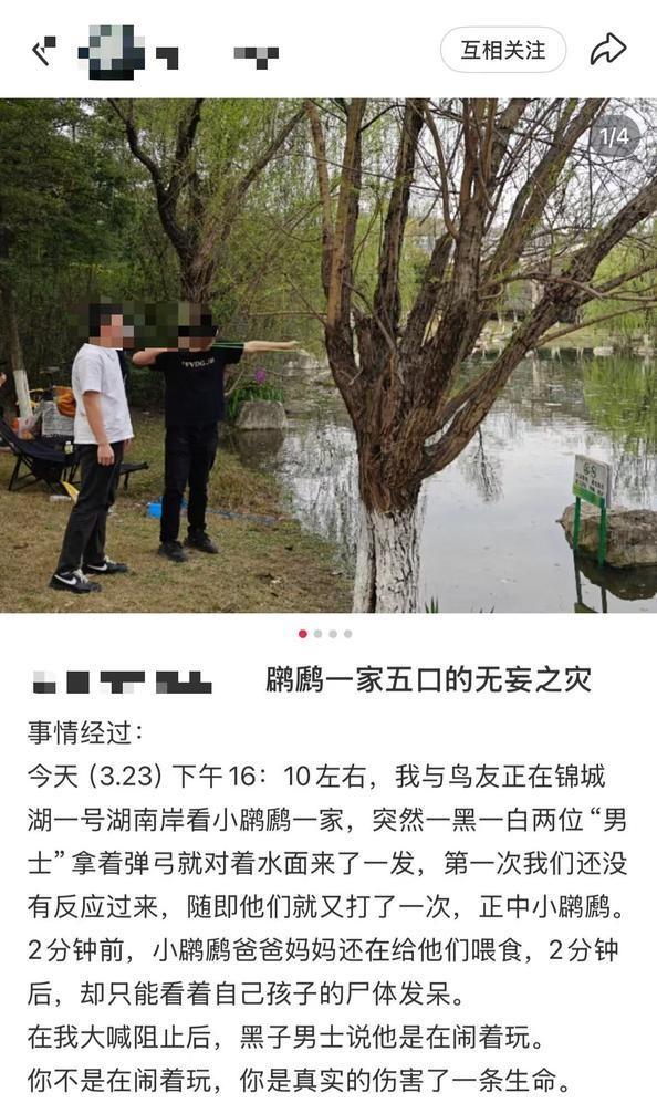 成都通报男子用弹弓射击鸟类