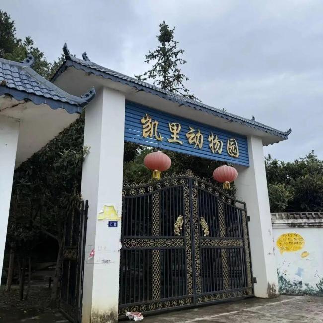 贵州人都不知道的动物园火了