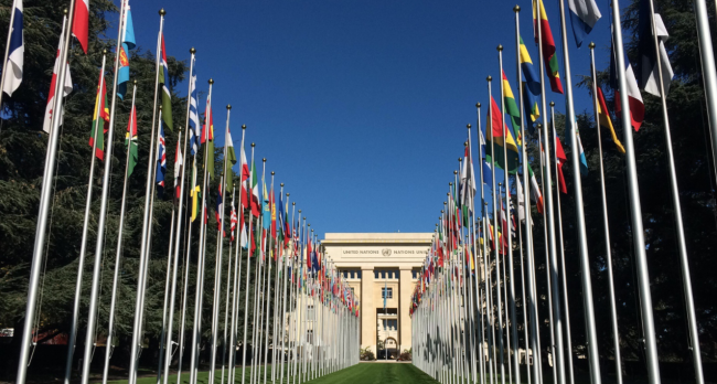 联合国禁止酷刑委员会中国籍委员成功连任