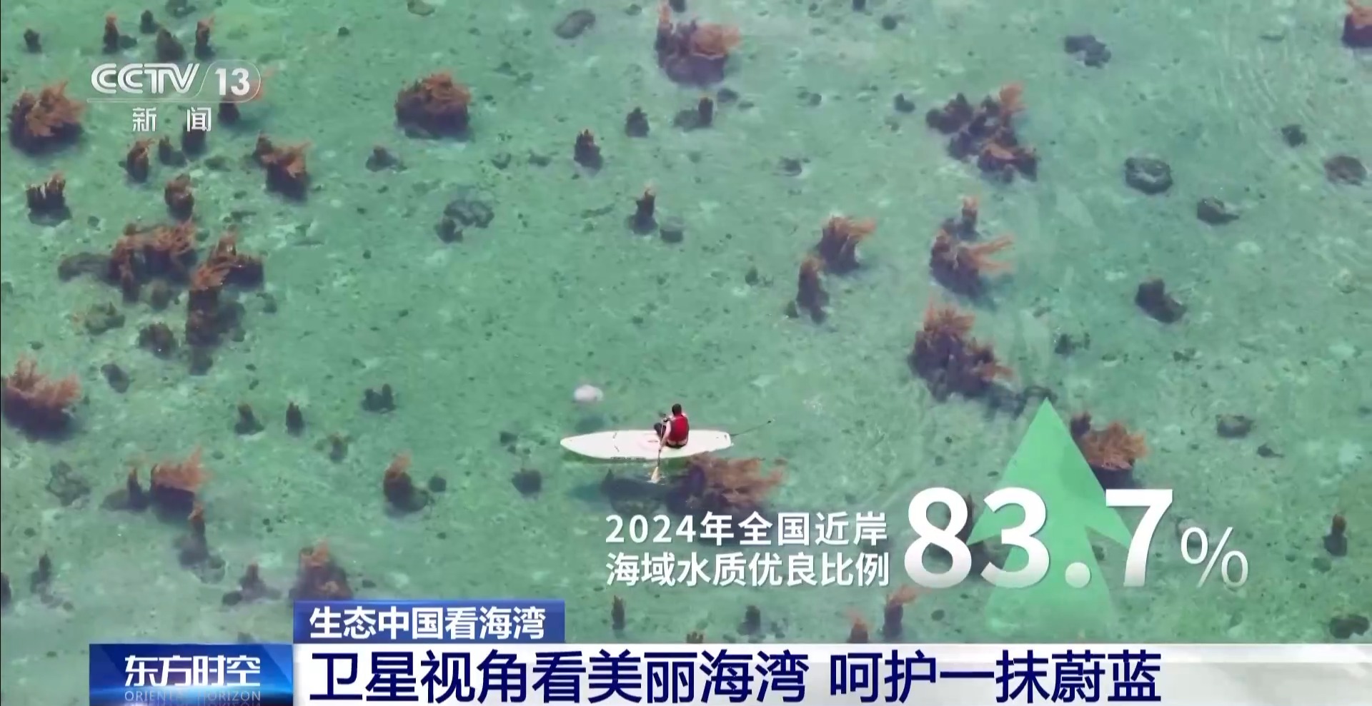 海湾“变美”关键在哪?看中国方案呵护一抹蔚蓝